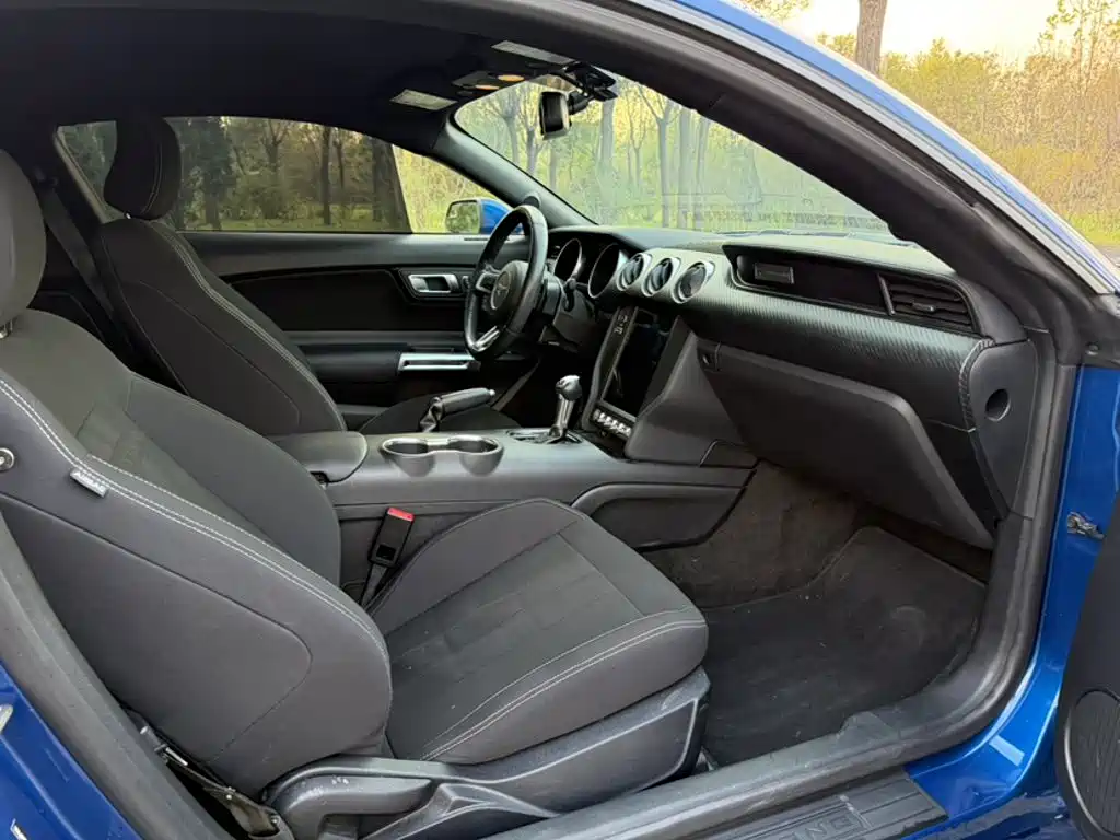 Ford Mustang — миниатюра 10