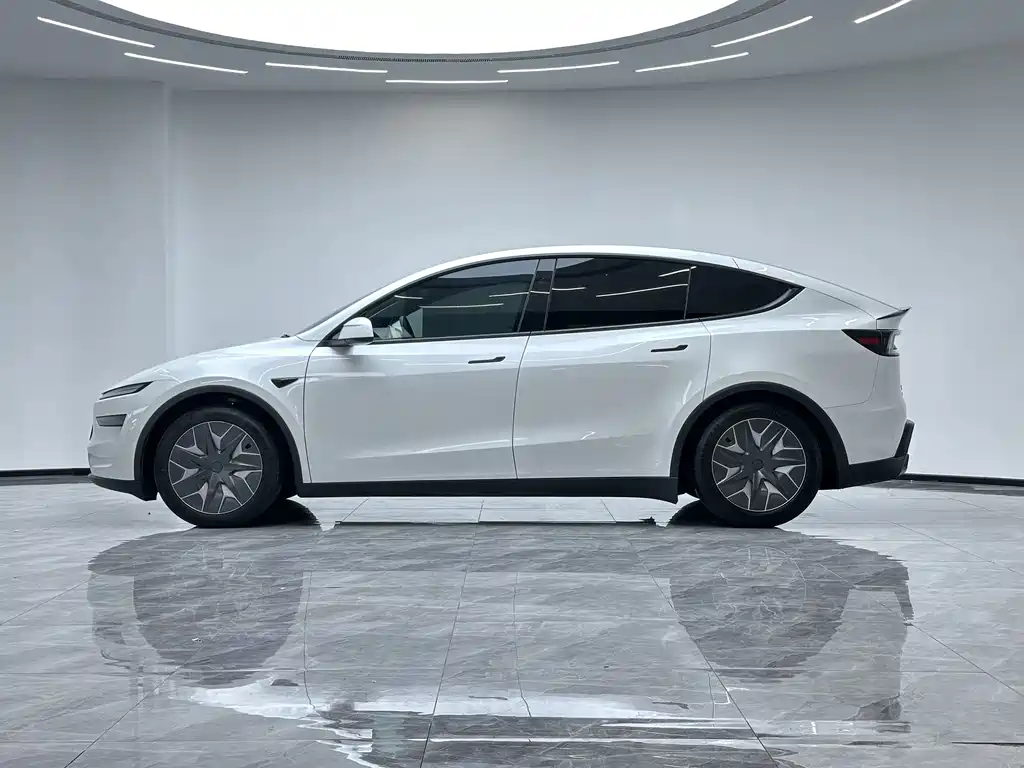 Tesla Model Y L