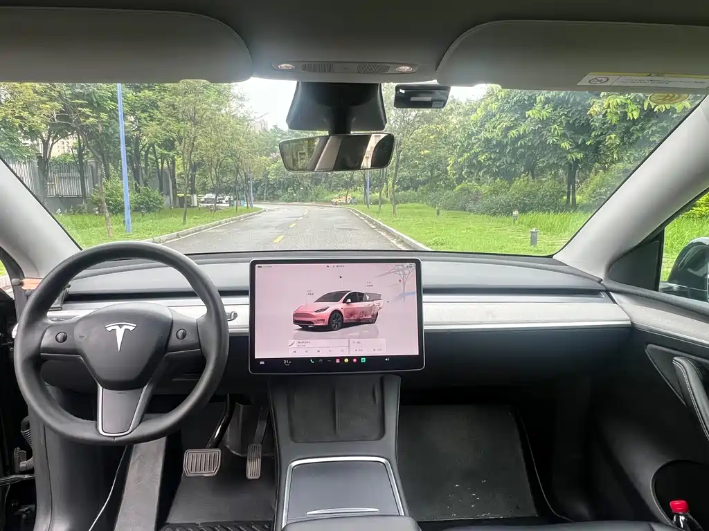 Tesla Model Y — миниатюра 13