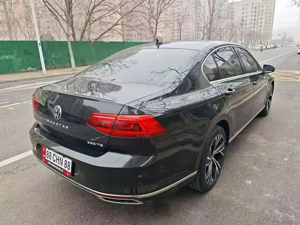 Volkswagen Magotan 2020 330TSI DSG Luxury