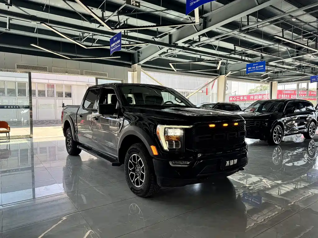 Ford F-150 Raptor — миниатюра 3