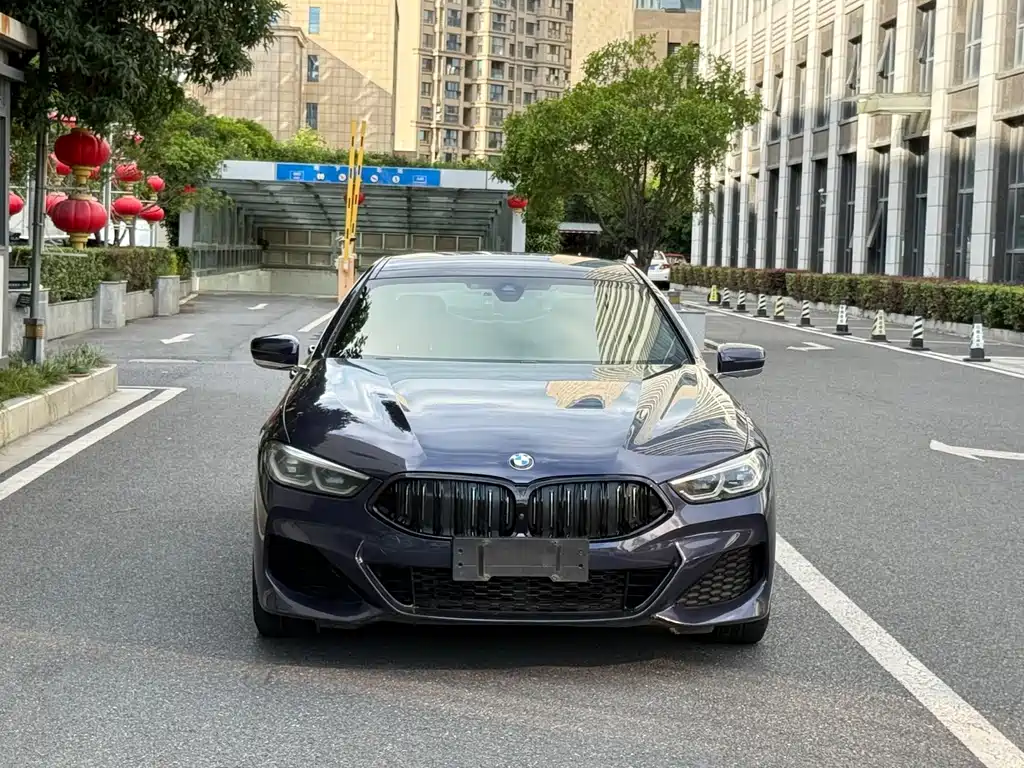 BMW 8 Series — миниатюра 2