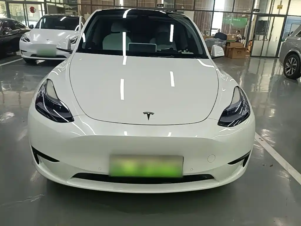 Tesla Model Y — миниатюра 3