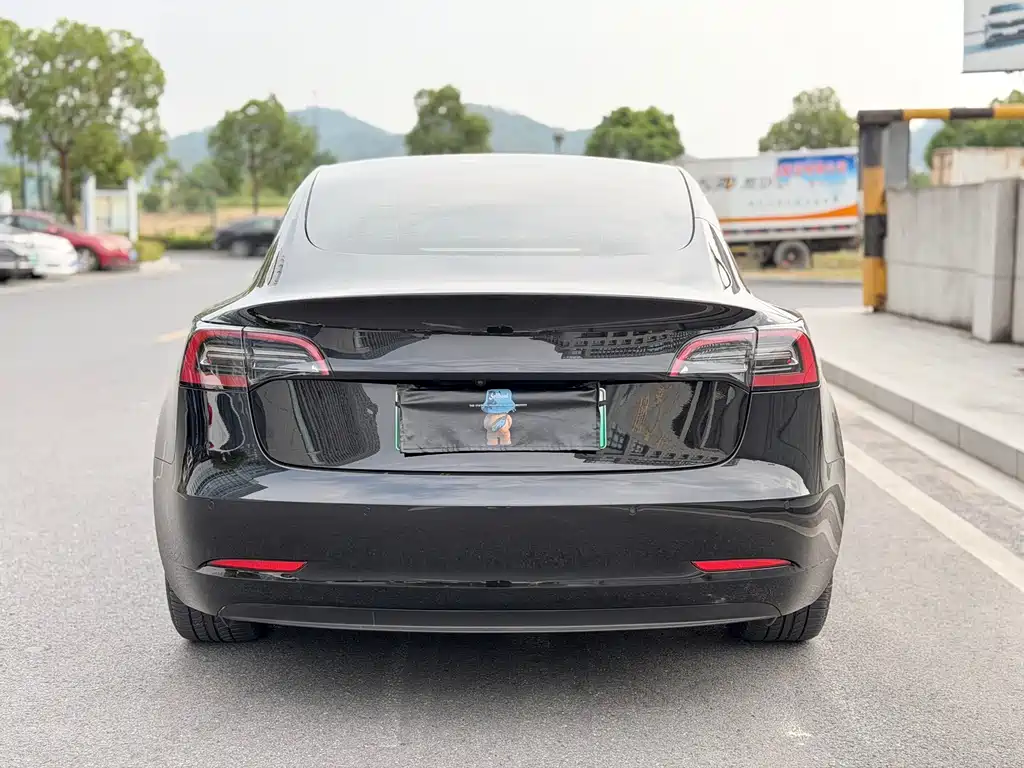 Tesla Model 3 — миниатюра 13