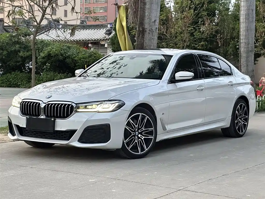 Купить BMW 5 Series