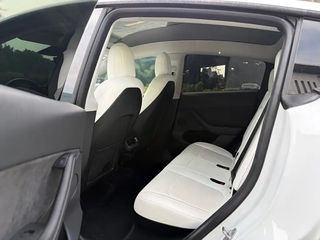 Tesla Model Y — миниатюра 5