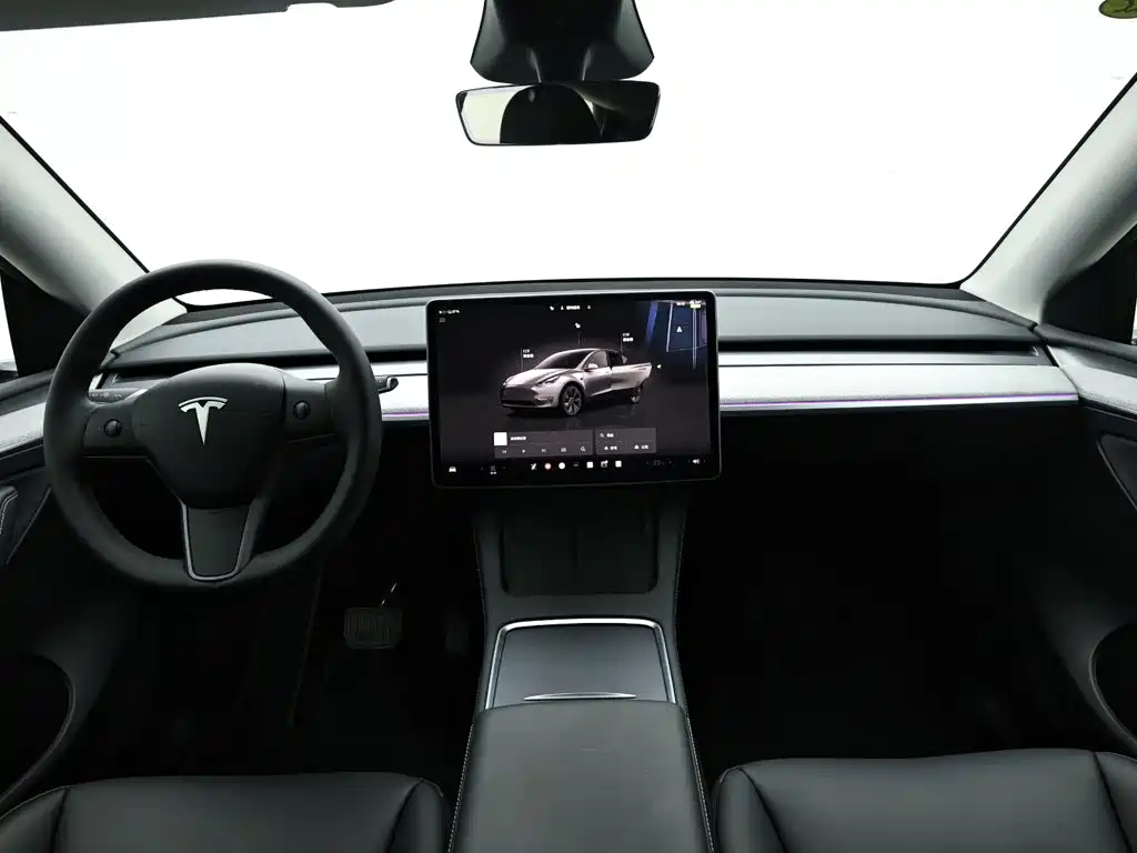 Tesla Model Y — миниатюра 15