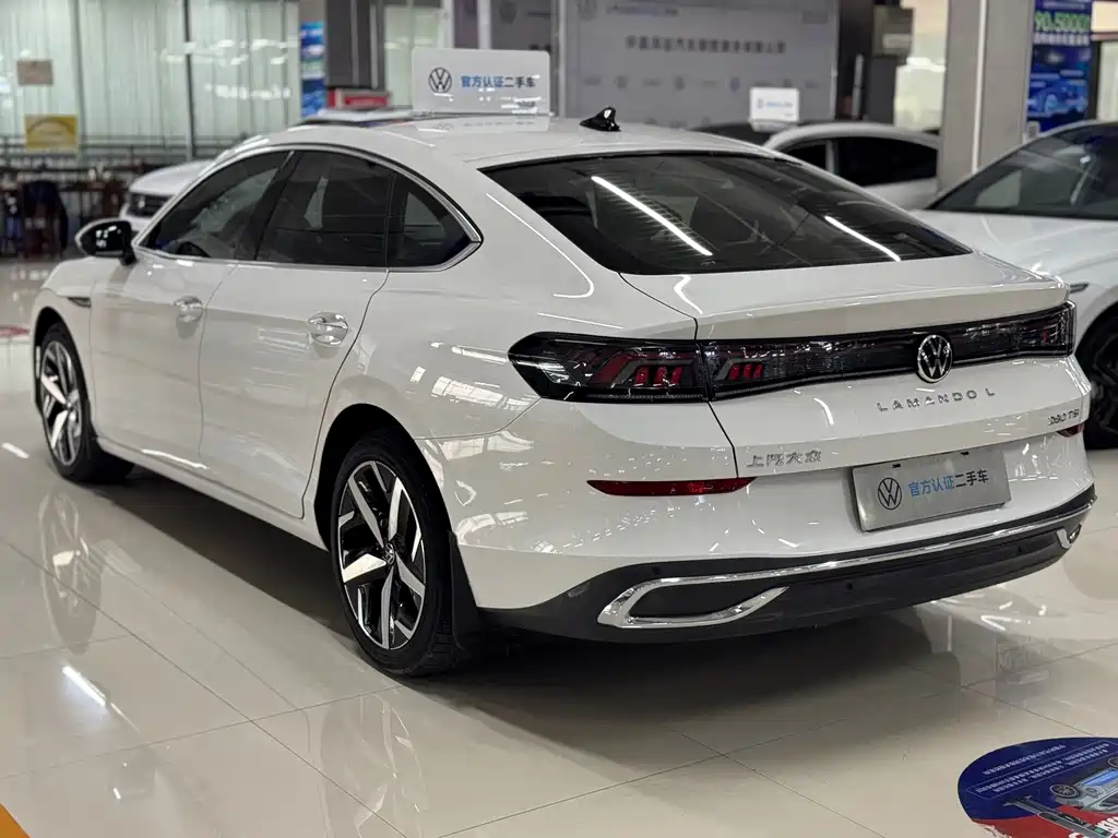 Volkswagen Lamando — миниатюра 7