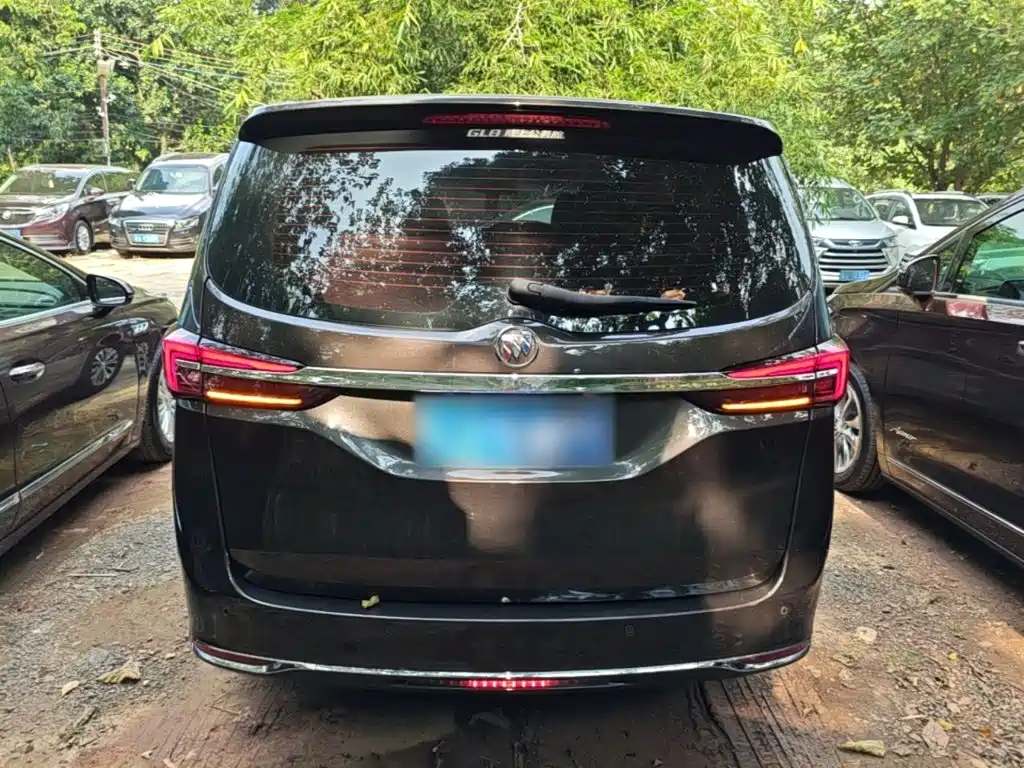 Buick GL8 — миниатюра 6