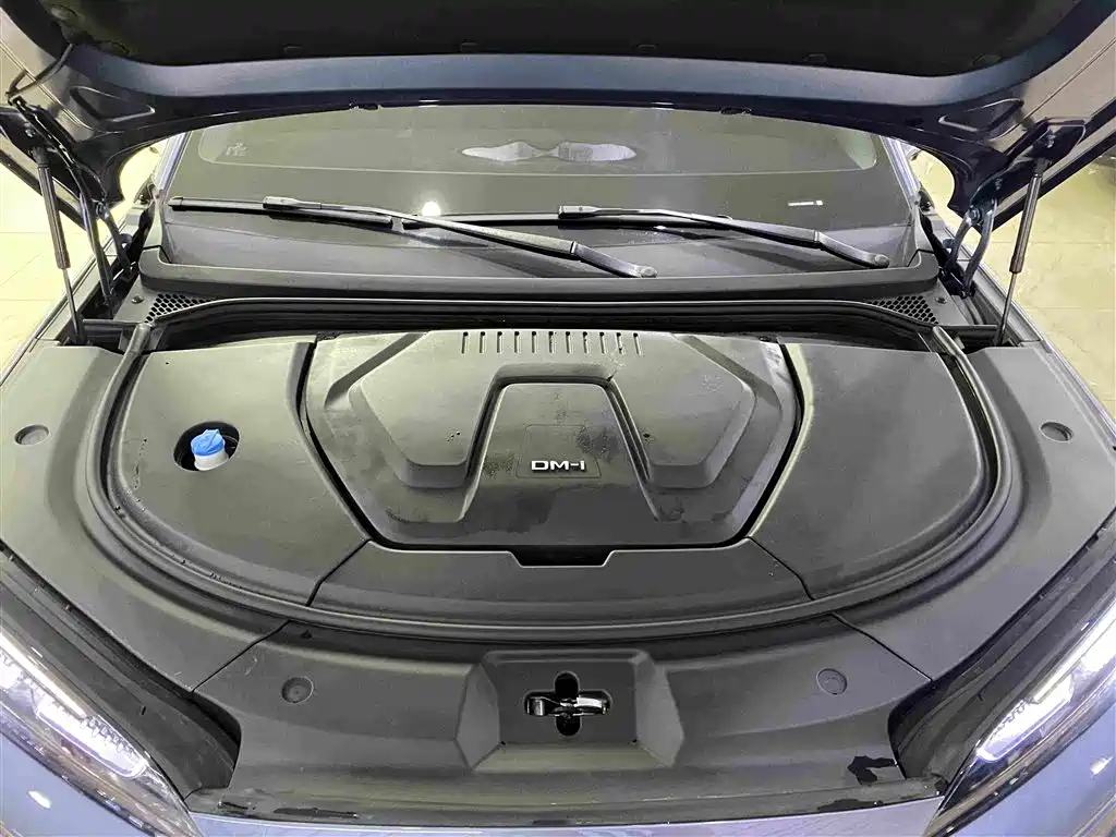 BYD Sealion 07 DM-i — миниатюра 13