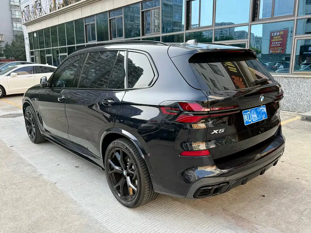 BMW X5 — миниатюра 4