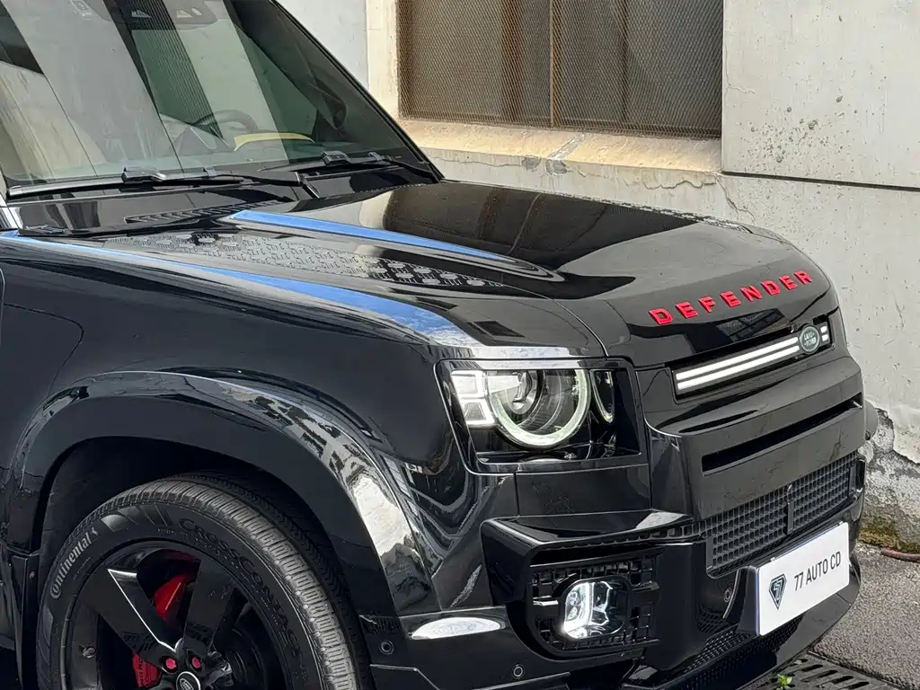 Land Rover Defender — миниатюра 18