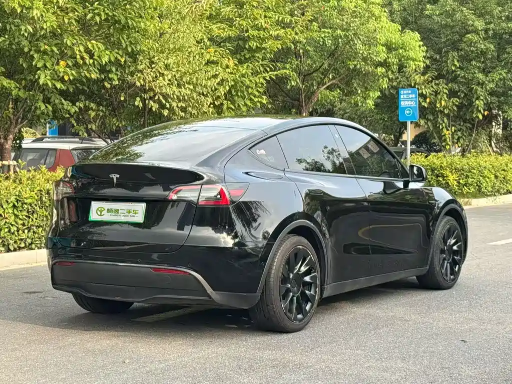 Tesla Model Y — миниатюра 3