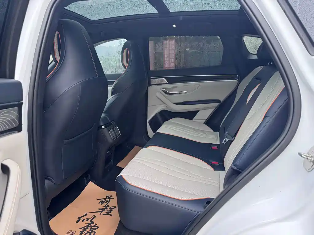 BYD PLUS New Energy — миниатюра 6