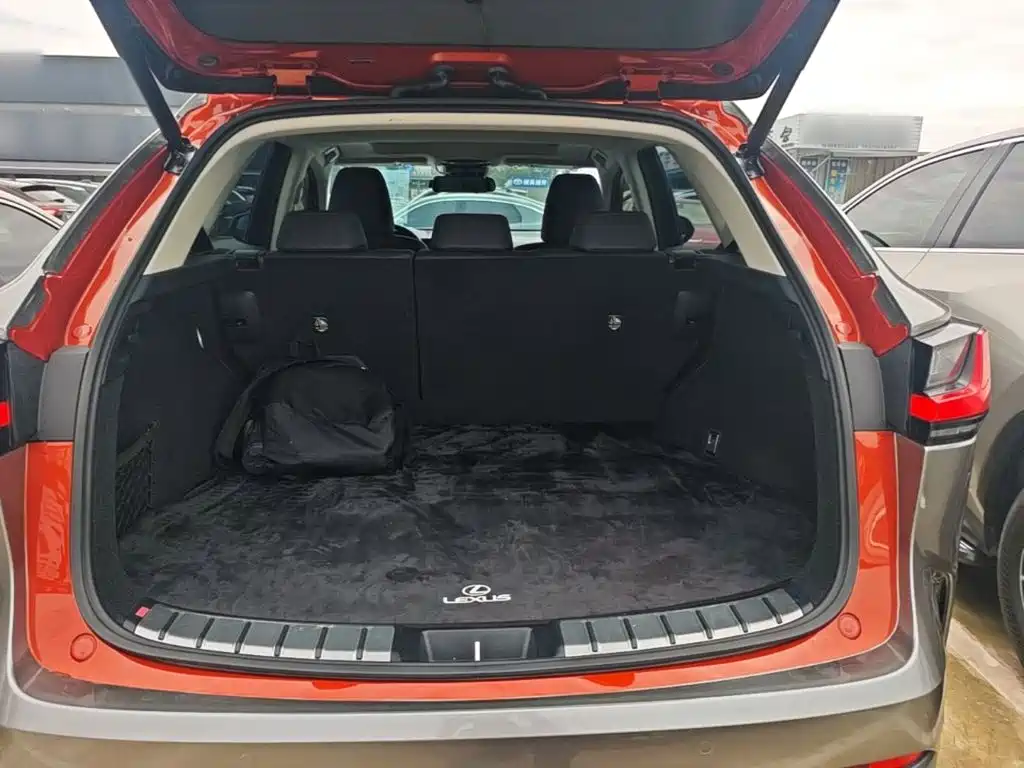 Lexus NX — миниатюра 19