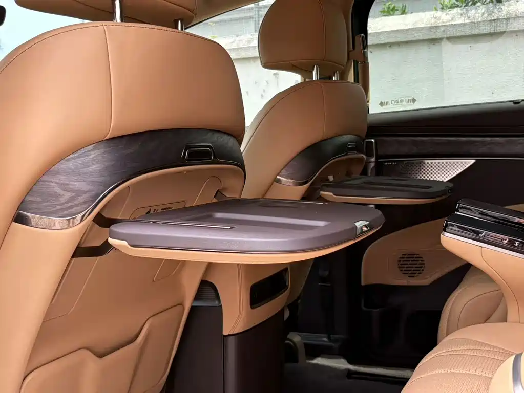 Denza Denza D9 — миниатюра 14