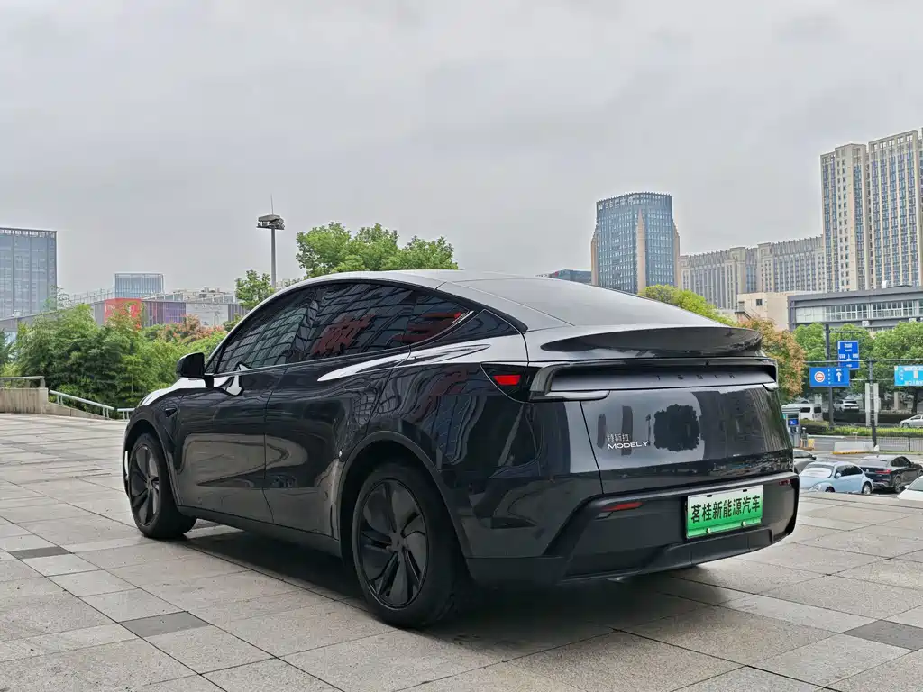 Tesla Model Y — миниатюра 4