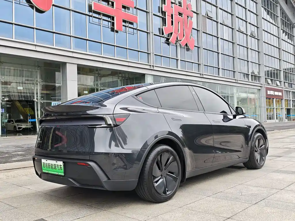 Tesla Model Y — миниатюра 5