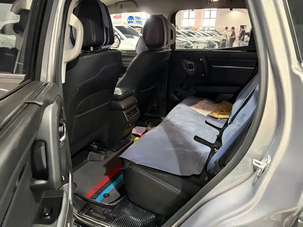 Haval Big Dog PLUS New Energy — миниатюра 5