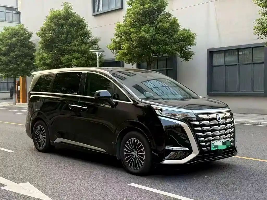 Denza Denza D9 — миниатюра 5