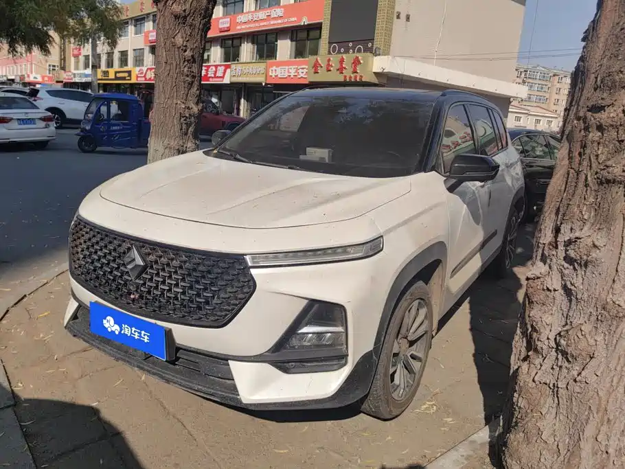 Baojun RS-5