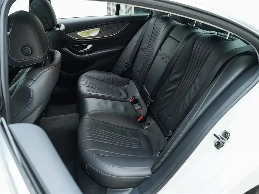 Mercedes-Benz CLS CLS 300 Luxury Type, фото 4