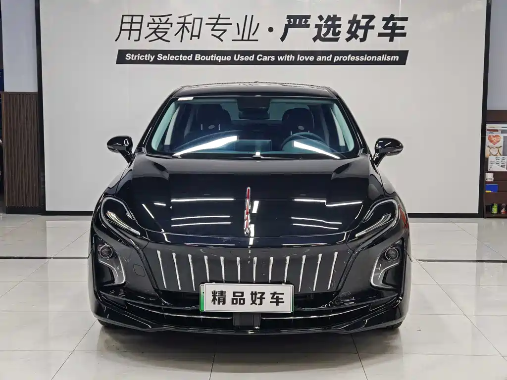 Hongqi HONGQI E QM5