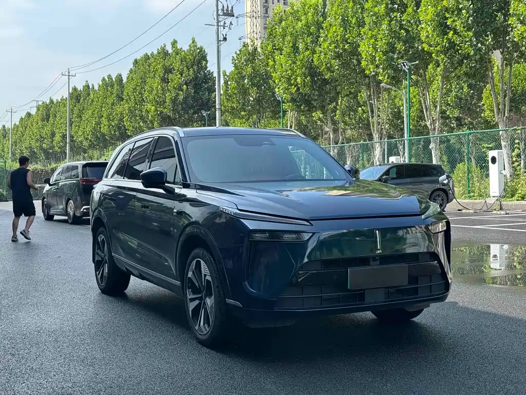 Wey Wey Lanshan — миниатюра 3
