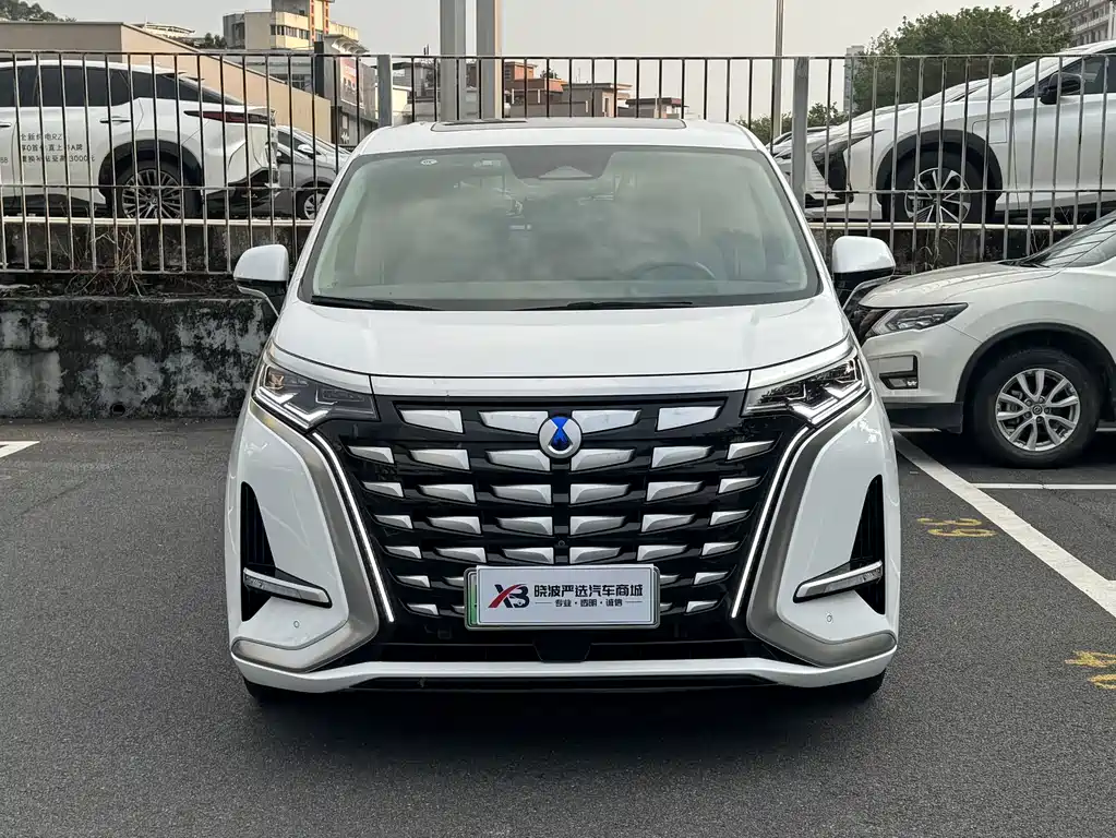 Denza Denza D9 — миниатюра 2