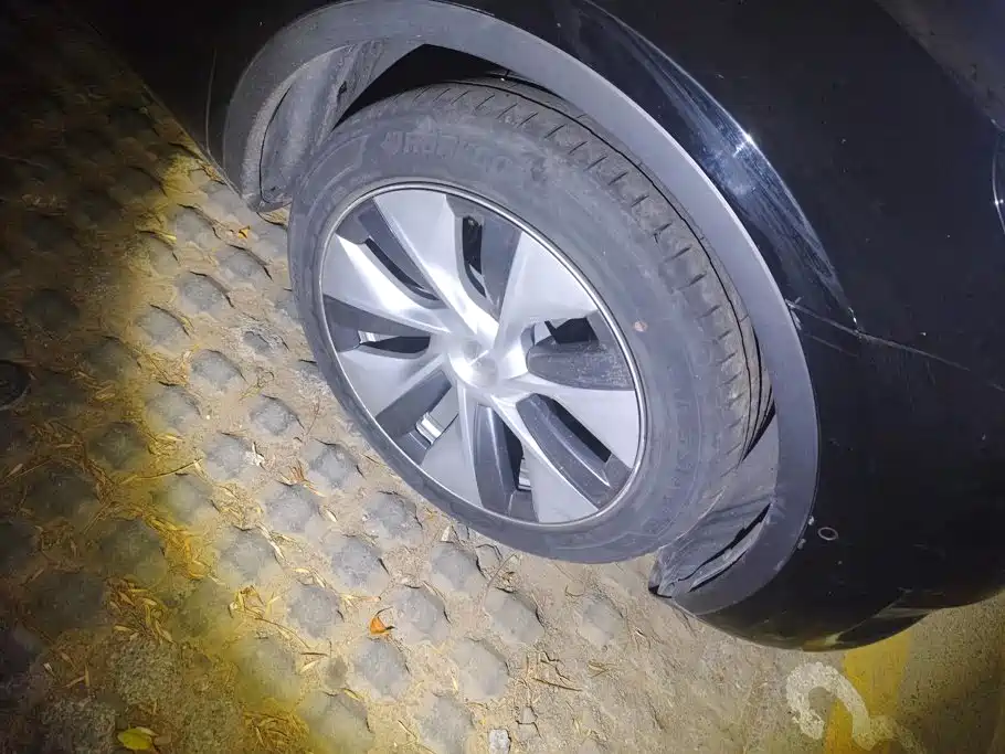 Tesla Model Y — миниатюра 6