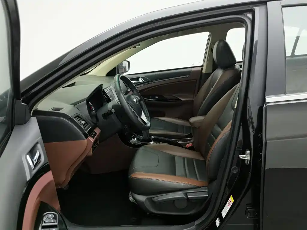 BYD Surui — миниатюра 10