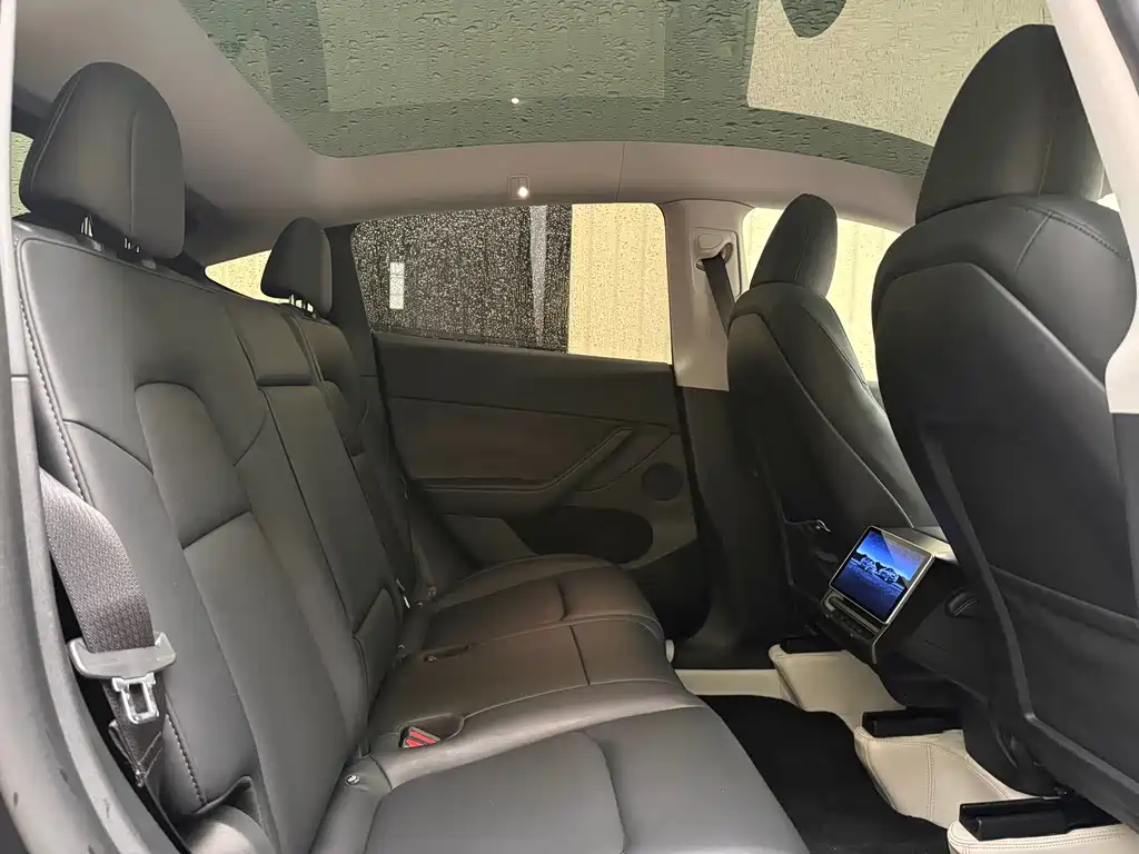 Tesla Model Y — миниатюра 21
