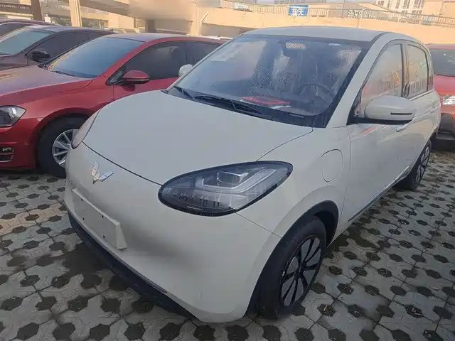WULING AUTOMOBILE WULING BINGGUO 2024