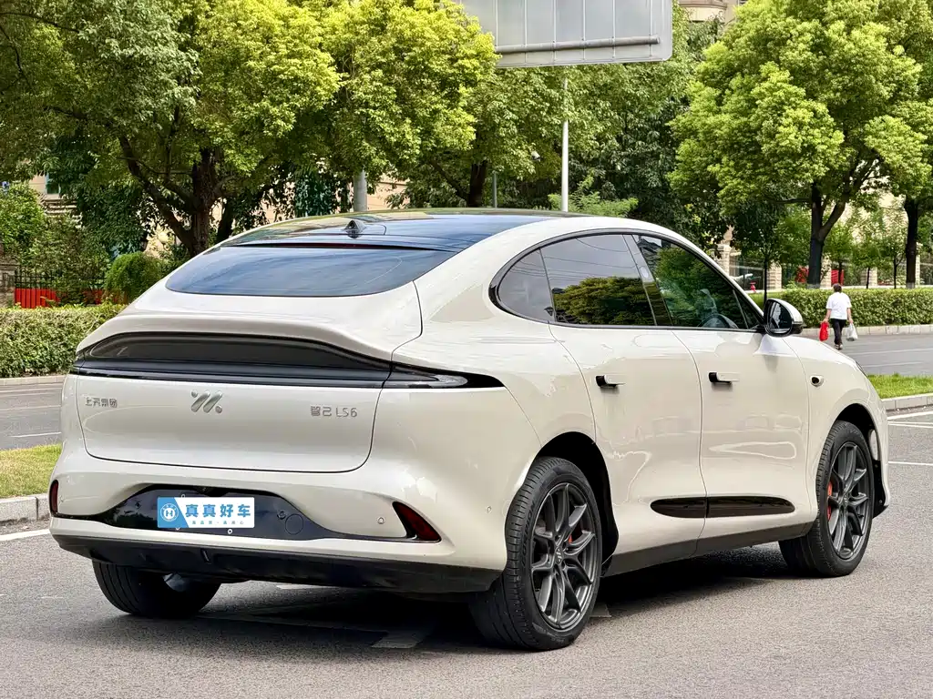 IM IM LS6 — миниатюра 4
