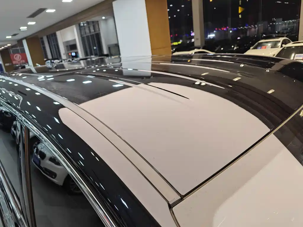 Hongqi Hongqi HQ9 — миниатюра 35