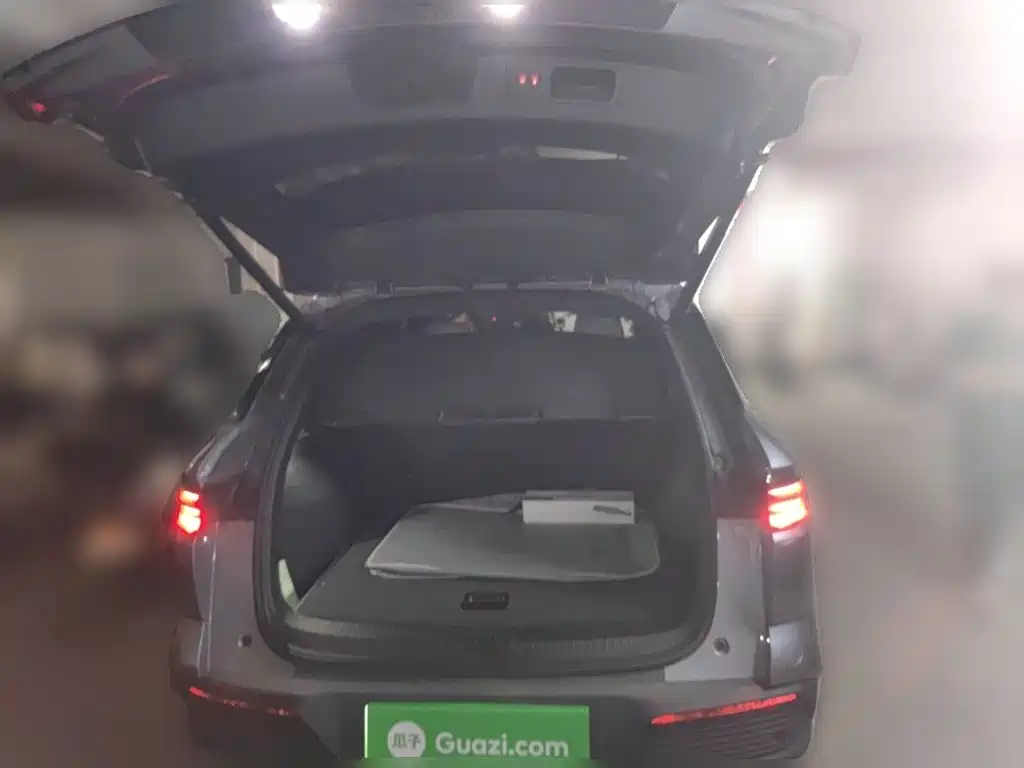 BYD Pro New Energy — миниатюра 15