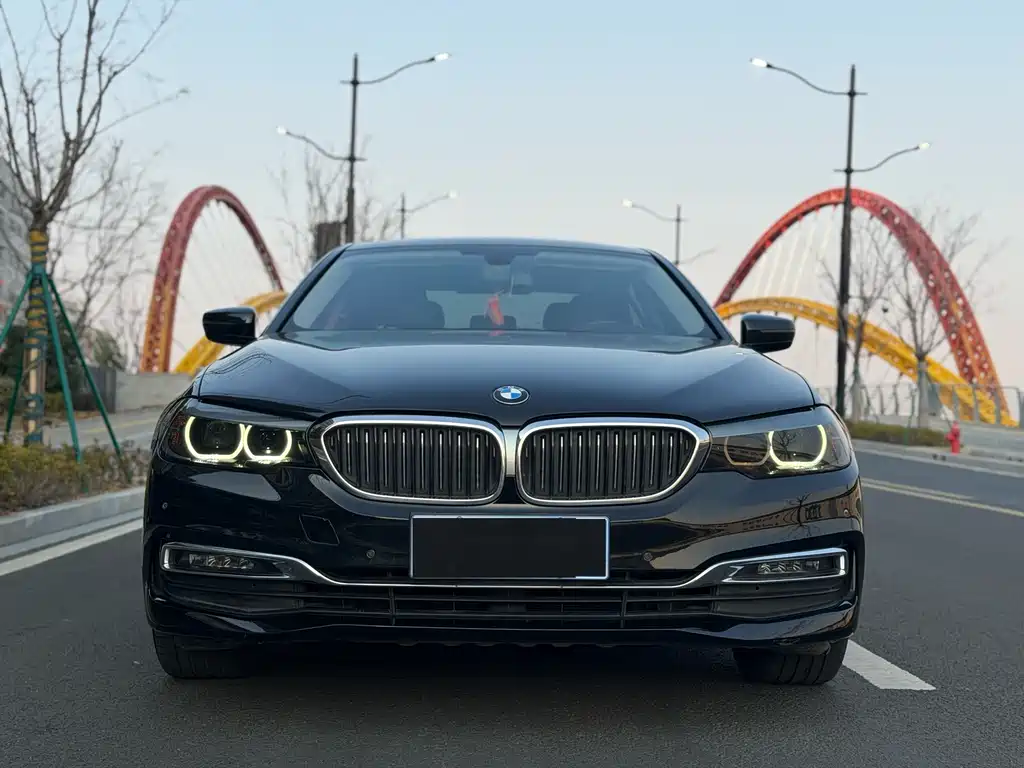 BMW 5 Series 5 2019 525Li Luxury