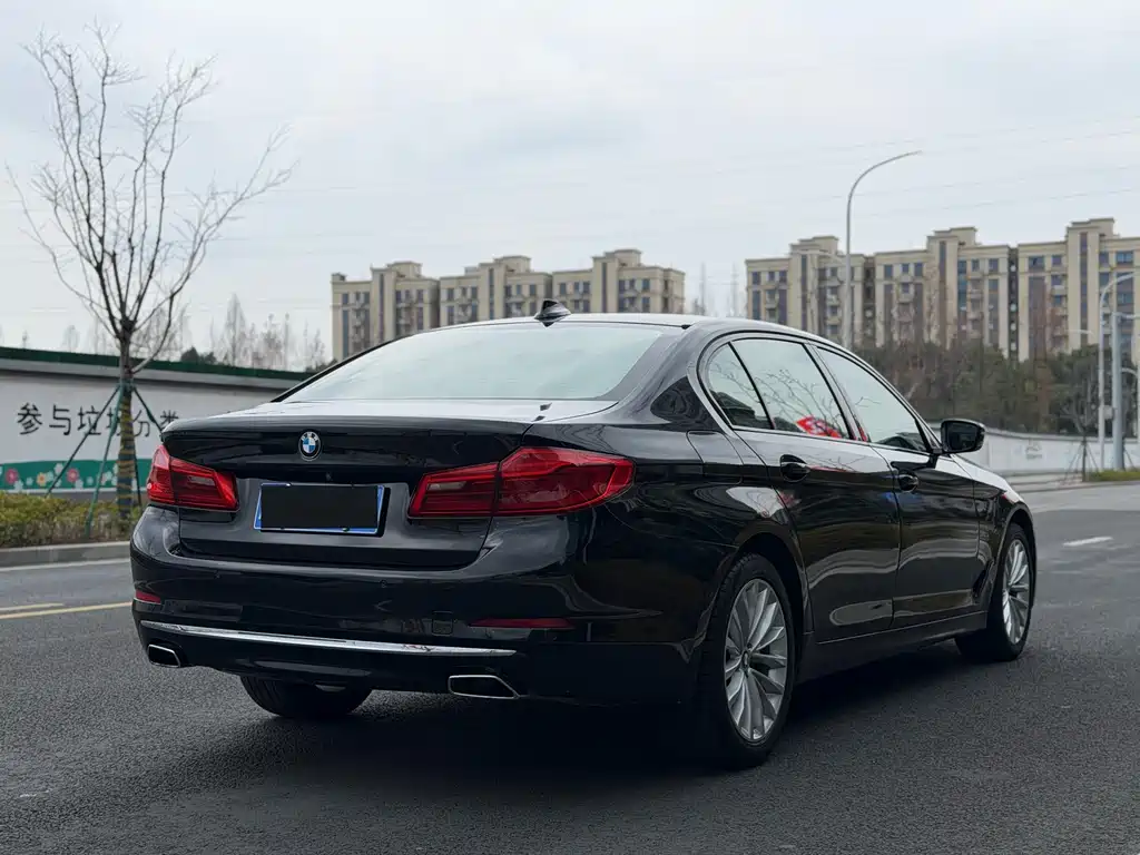 BMW 5 Series 5 2019 525Li Luxury