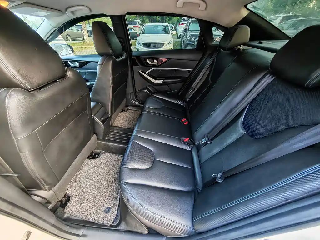 Venucia D60 EV — миниатюра 17