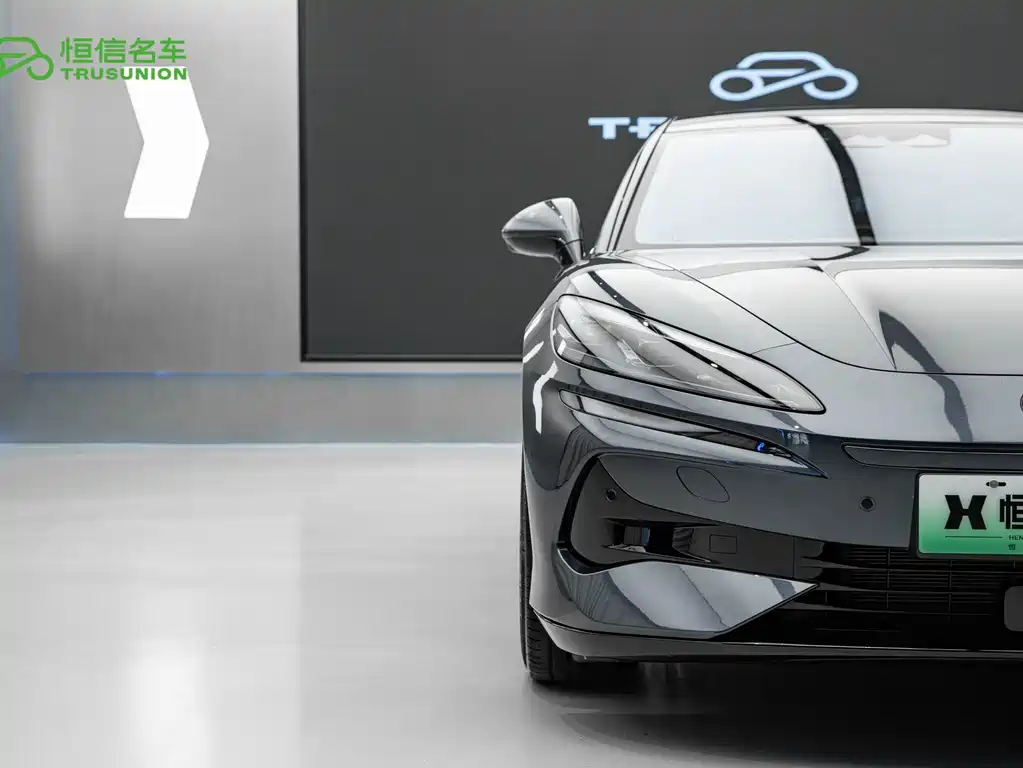 Denza Denza Z9 — миниатюра 8