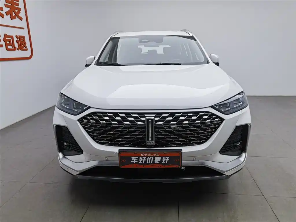 WEI PAI WEI BRAND LATTE DHT PHEV