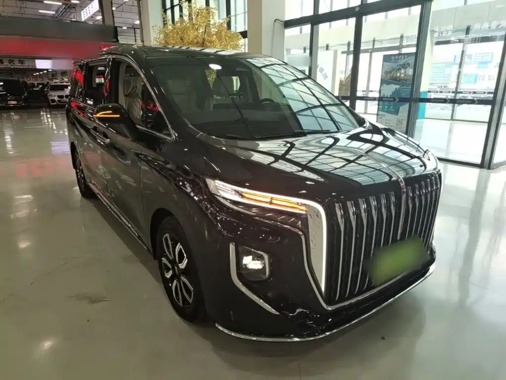 Hongqi Hongqi HQ9 — миниатюра 4