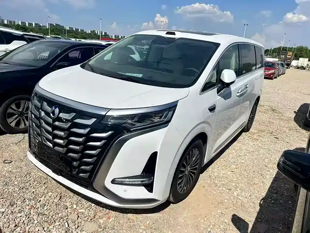 2025 Denza D9