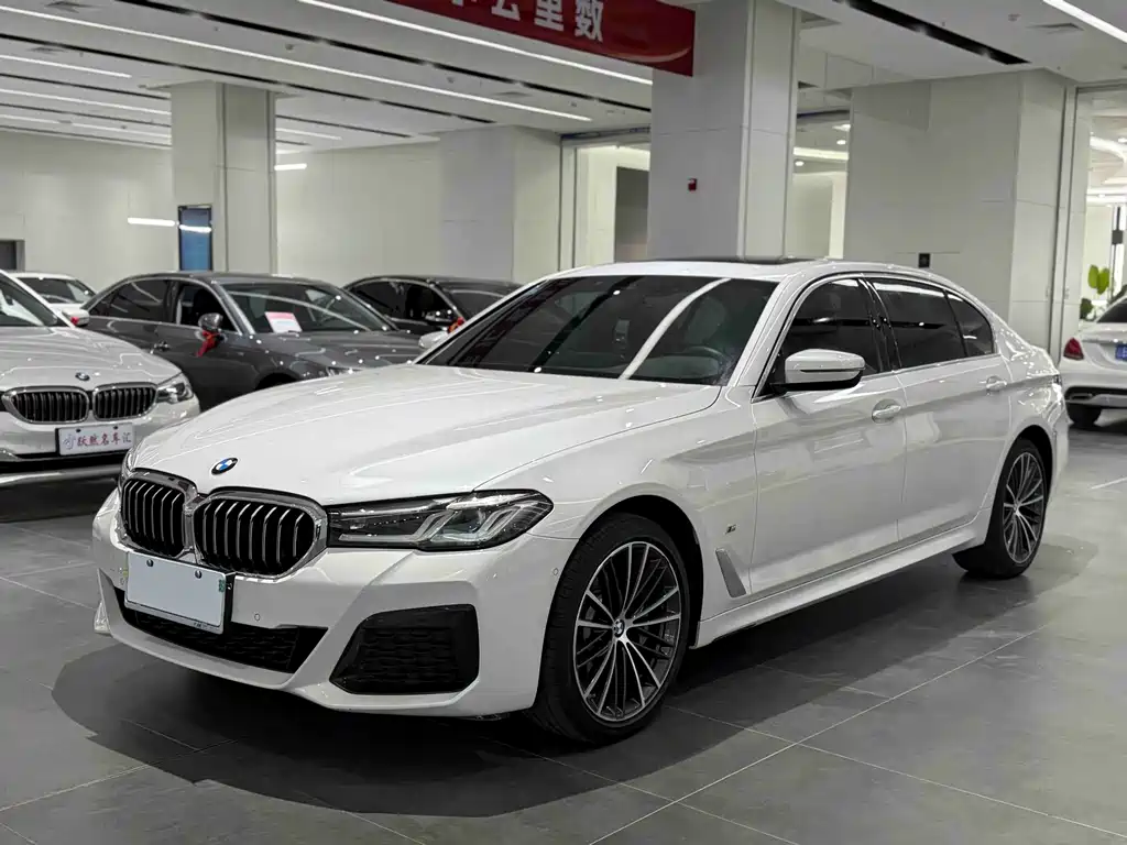 BMW 5 SERIES