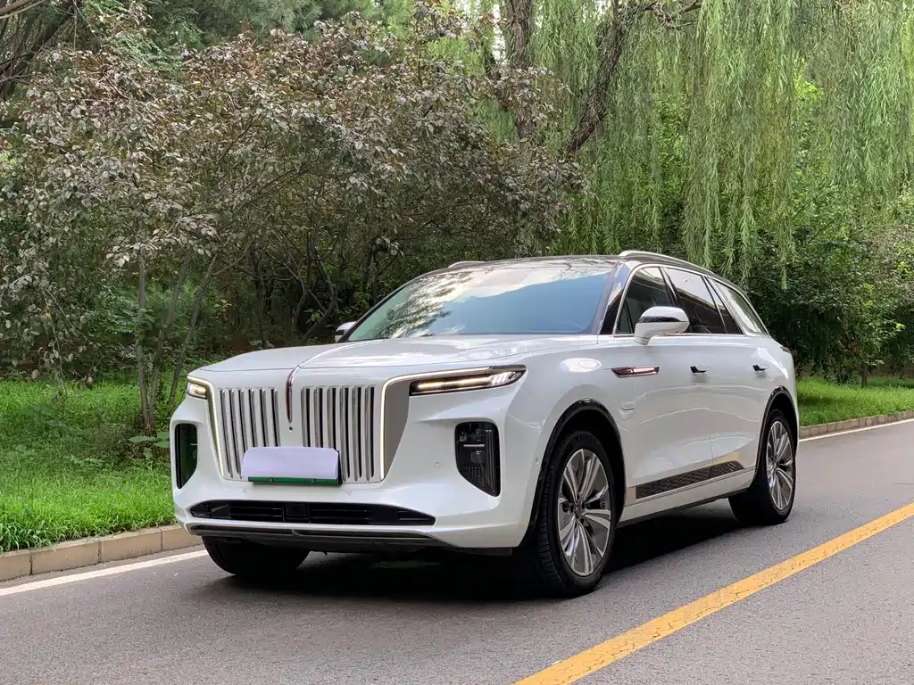 2023 Hongqi E-HS9 - zdjęcie 1 z 15