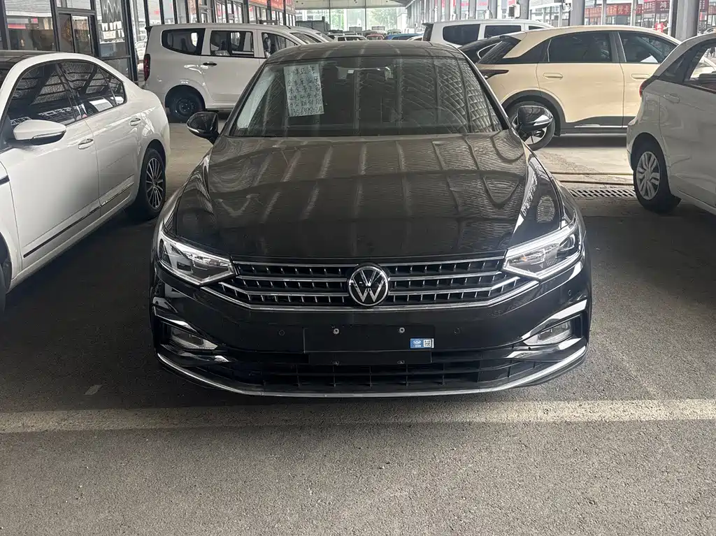 Volkswagen Magotan — миниатюра 2