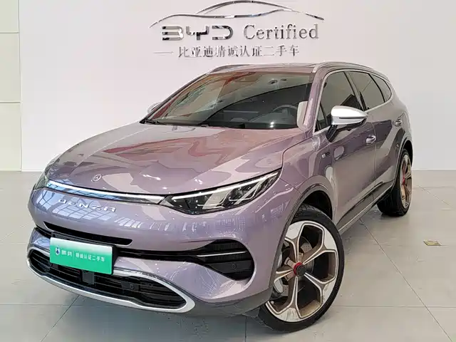 2020 Denza X