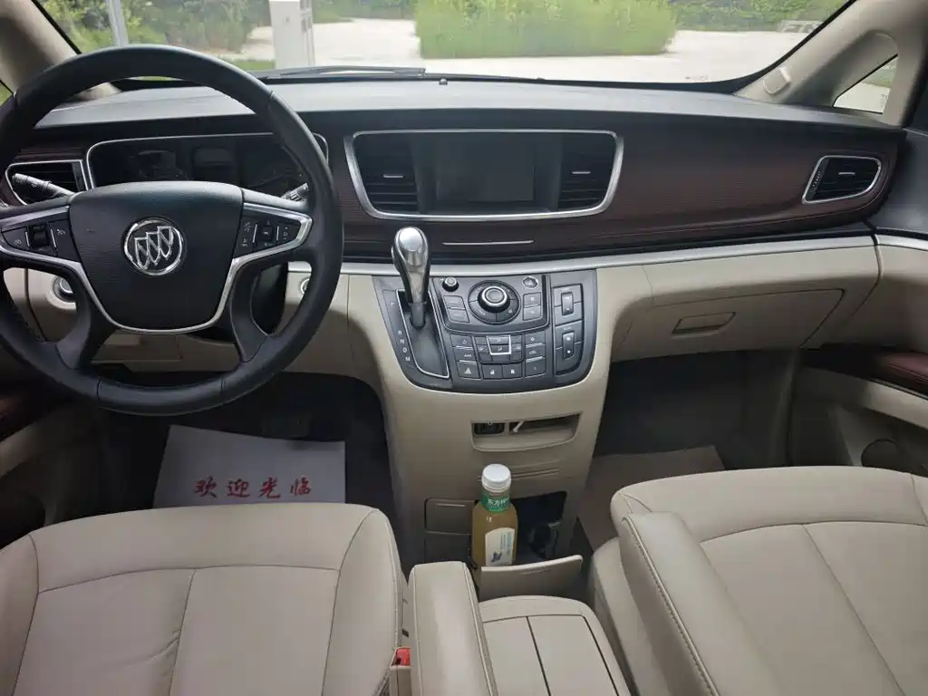 Buick GL8 — миниатюра 6