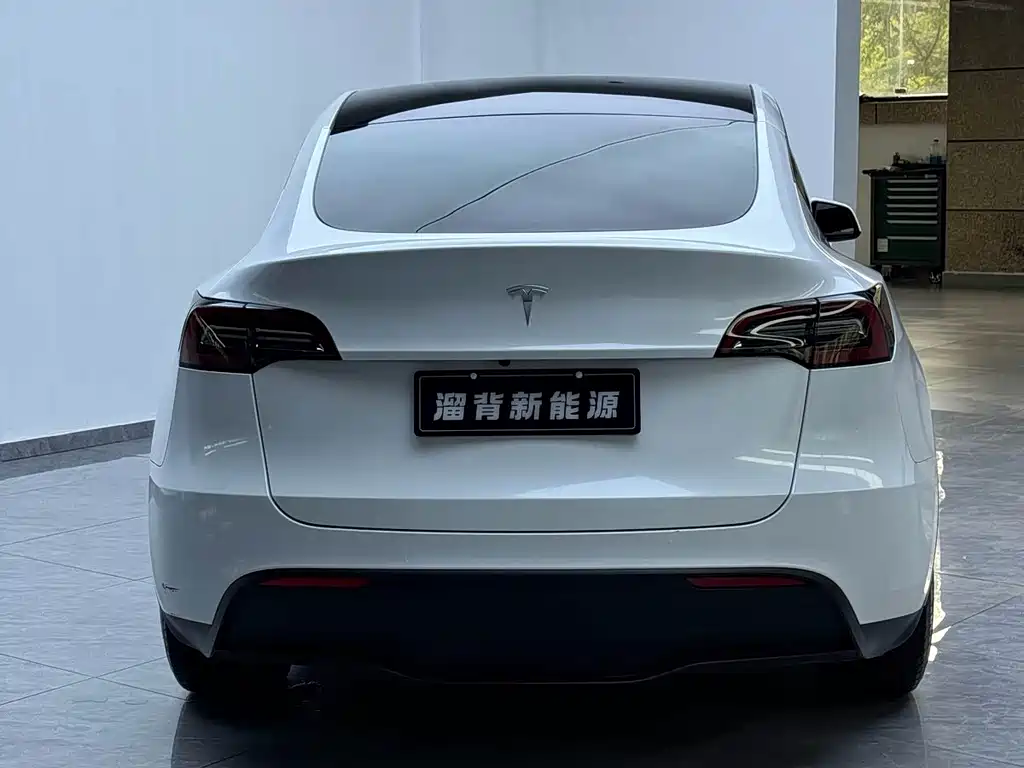 Tesla Model Y — миниатюра 15