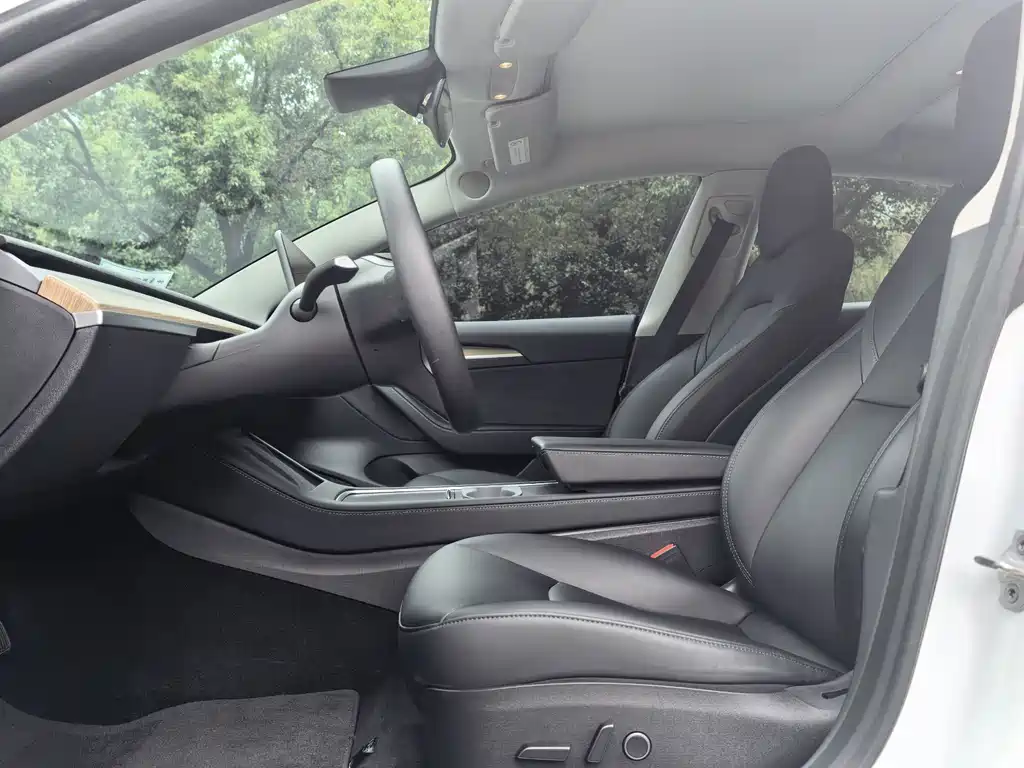 Tesla Model 3 — миниатюра 5